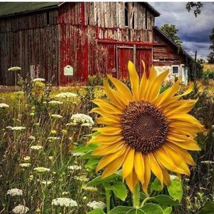 Meet your Posher, Gwen